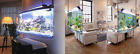 Fish Tank Spacearium