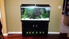 Fish Water Fresh Gallon Tank Stand 60 Accessories Complete