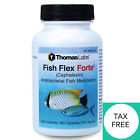 Flex 500 Thomas Labs Fish 687611828928