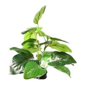 Fluval Sea 1443 Samolus Sword Plant 2.75in By