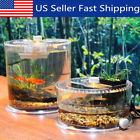 Fmb6623478 Unbranded Mini Cylinder Clear Acrylic Reptile Turtle Fish Tank Aquarium