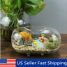 Fmt3358518 Unbranded Oval Vase Flower Planter Pot Terrarium Stand Container Home