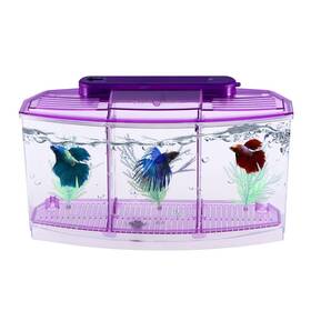 Fondotin 388x06n007u Mini Self-cleaning Fish Tank Desktop Goldfish Aquarium With Purple Design Fis