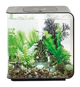 Geoglobal 72029 Flow 15 Aquarium With Standard Light 4 Gallon Black Led Lighting Series 7