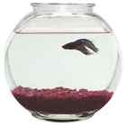 Gfb-4 Imagine Gold Plastic Drum Fish