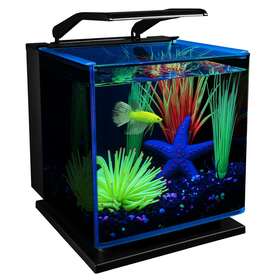 Glofish 705353400254 3 Gallon Betta Shadowbox Glass Aquarium Kit Includes Led Lighting And Filter