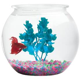 Hank & Harley 019213080013 Aquatic Wonder 1 Gallon Fish Bowl Round Crystal Clear Plastic Is Break-resis