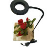Haope14468425 Unbranded Miniature Landscape Usb Powered With Wood Board Fish Tank