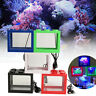 Hbe6297314 Unbranded Mini Clear Usb Led Goldfish Betta Fish Tank Ornament