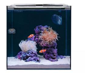 Helloreef 704335295239 15 Gallon Beginner Clownfish Saltwater Aquarium Kit With App Controlled Smart
