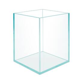 Hiro Aquatics B08zjsgrfy Nano Tall Rimless Frameless Extra Clear Glass Aquarium Iron