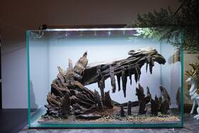 Scape-101 Htown Nature Aquarium Aquascape Driftwood 9.3 Gallons Scape-101 Htown Nature Aquarium Aquascape Driftwood 9.3 Gallons
