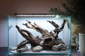 Scape-102 Htown Nature Aquarium Aquascape Driftwood 9.3 Gallons