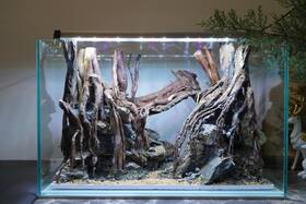 Scape-103 Htown Nature Aquarium Aquascape Driftwood 9.3 Gallons
