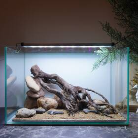 Scape-104 Htown Nature Aquarium Aquascape Driftwood 9.3 Gallons Scape-104 Htown Nature Aquarium Aquascape Driftwood 9.3 Gallons