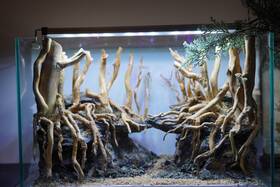 Scape-105 Htown Nature Aquarium Aquascape Driftwood 9.3 Gallons Scape-105 Htown Nature Aquarium Aquascape Driftwood 9.3 Gallons