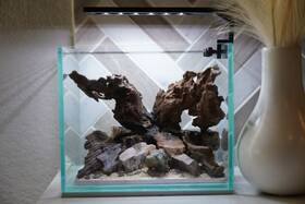 Scape-25 Htown Scape-24 Nature Aquarium Aquascape Diftwood 1 Gallon