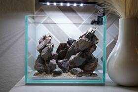 Scape-26 Htown Mountain-inspired Aquarium Aquascape 1 Gallon