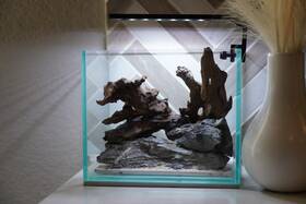 Htown Scape-28 Nature Aquarium Aquascape Diftwood 1 Gallon