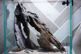 Htown Scape-29 Nature Aquarium Aquascape Diftwood 1 Gallon