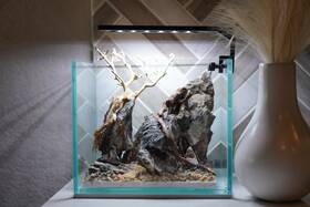 Scape-33 Htown Scape-32 Bonsai On Rock Aquascape Aquarium 1 Gallon