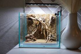 Scape-34 Htown Nature Aquarium Aquascape Diftwood 1 Gallon