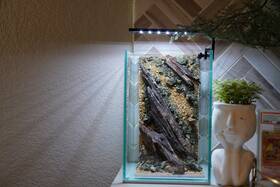 Htown Scape-46 Nature Aquarium Aquascape Diftwood 1.6 Gallons