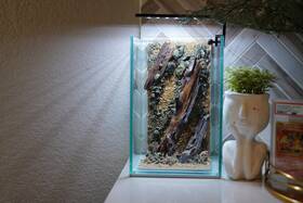 Htown Scape-47 Nature Aquarium Aquascape Diftwood 1.6 Gallons