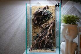 Htown Scape-48 Nature Aquarium Aquascape Diftwood 1.6 Gallons