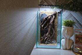Htown Scape-49 Nature Aquarium Aquascape Diftwood 1.6 Gallons