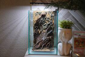 Htown Scape-50 Nature Aquarium Aquascape Diftwood 1.6 Gallons
