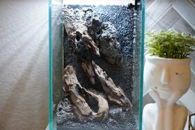 Scape-51 Htown Nature Aquarium Aquascape Driftwood 1.6 Gallons