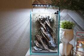 Scape-52 Htown Nature Aquarium Aquascape Driftwood 1.6 Gallons
