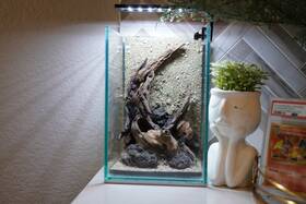 Scape-53 Htown Nature Aquarium Aquascape Driftwood 1.6 Gallons