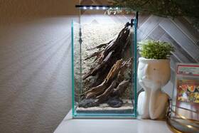 Scape-54 Htown Nature Aquarium Aquascape Driftwood 1.6 Gallons