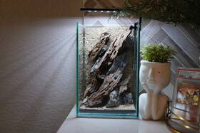Htown Scape-57 Nature Aquarium Aquascape Driftwood 1.6 Gallons