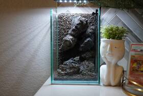 Htown Scape-59 Mountain-inspired Aquarium Aquascape 1.6 Gallons