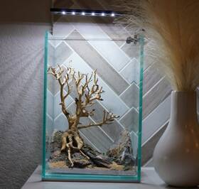 Htown Scape-61 Bonsai On Rock Nature Aquarium Aquascape 1.6 Gallons