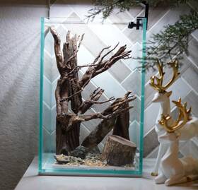 Scape-71 Htown Nature Aquarium Aquascape Driftwood 1.6 Gallons