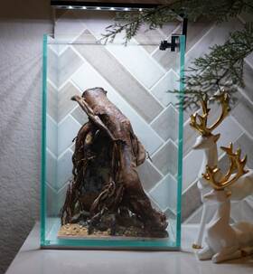 Scape-72 Htown Nature Aquarium Aquascape Driftwood 1.6 Gallons