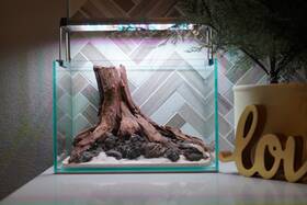 Scape-77 Htown Nature Aquarium Aquascape Driftwood 2.7 Gallons