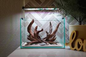 Scape-78 Htown Nature Aquarium Aquascape Driftwood 2.7 Gallons