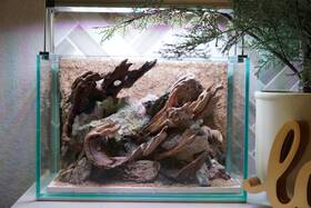 Htown Scape-83 Nature Aquarium Aquascape Driftwood 2.7 Gallons