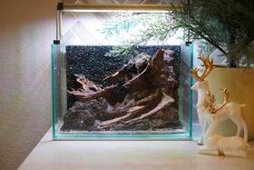 Htown Scape-84 Nature Aquarium Aquascape Driftwood 2.7 Gallons