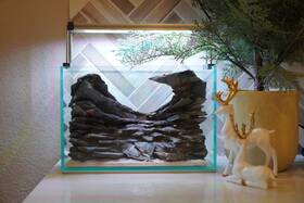 Htown Scape-85 Mountain-inspired Aquarium Aquascape 2.7 Gallons