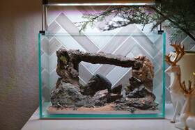 Htown Scape-87 Mountain-inspired Aquarium Aquascape 2.7 Gallons
