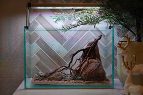 Scape-89 Htown Nature Aquarium Aquascape Driftwood 2.7 Gallons