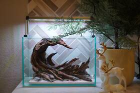 Htown Scape-91 Nature Aquarium Aquascape Driftwood 2.7 Gallons