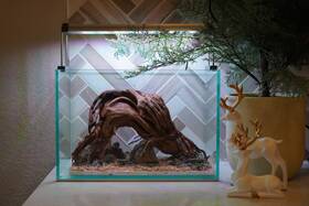 Scape-92 Htown Nature Aquarium Aquascape Driftwood 2.7 Gallons