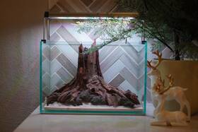 Scape-93 Htown Nature Aquarium Aquascape Driftwood 2.7 Gallons